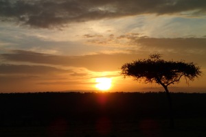 Sunrise on the Mara